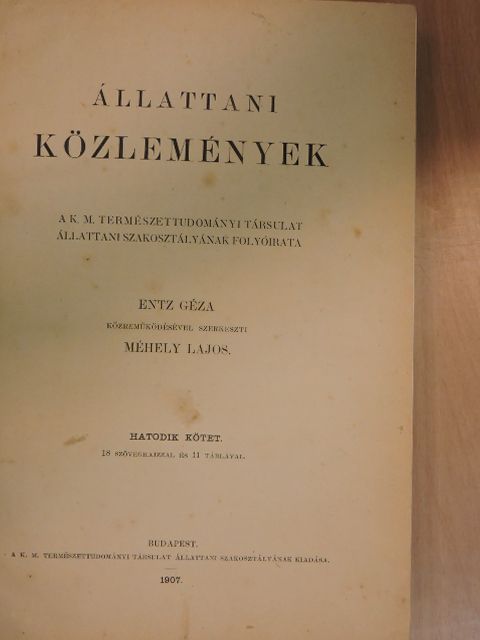 Állattani Közlemények 1907-1908/1-4. [antikvár]