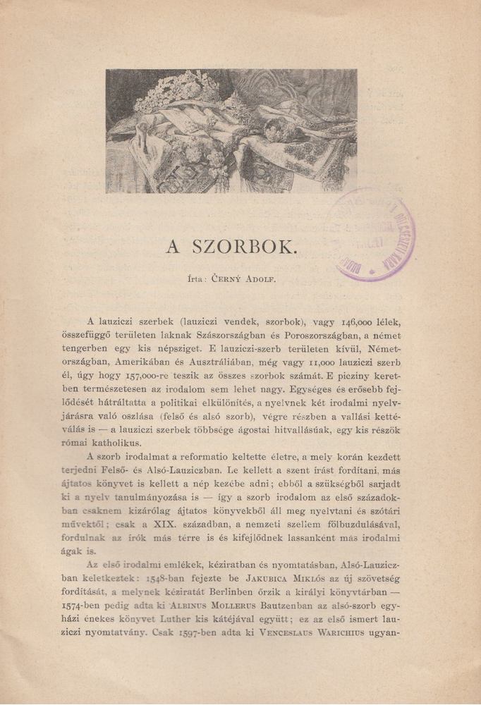 Cerny Adolf - A Szorbok [antikvár]