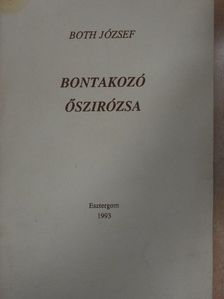 Both József - Bontakozó őszirózsa [antikvár]