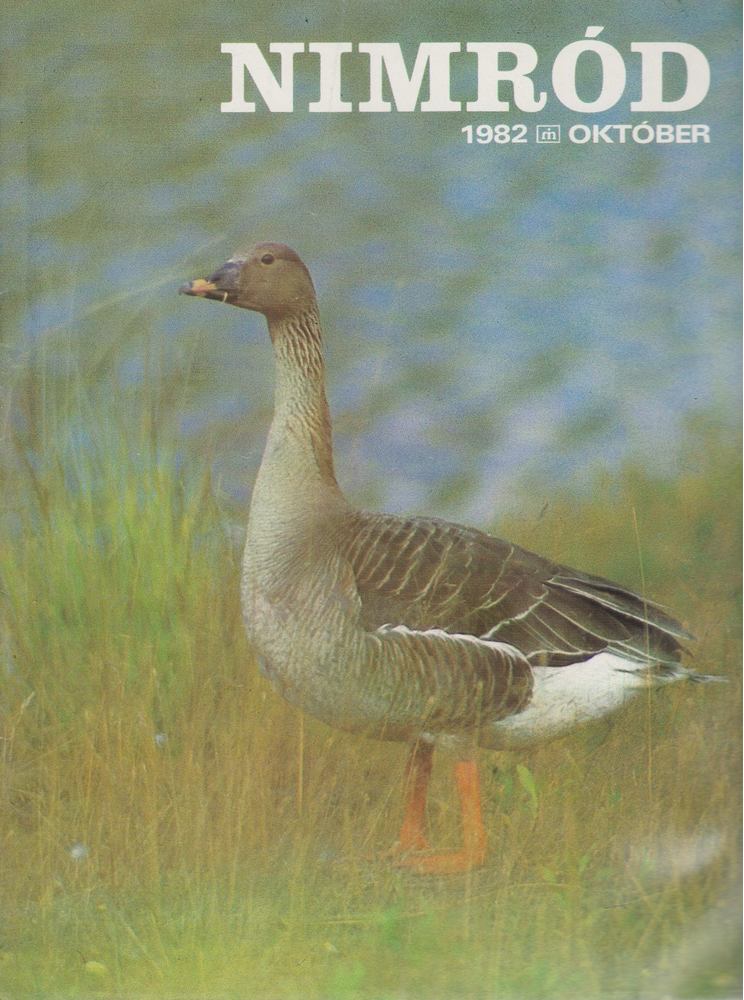 Csekó Sándor - Nimród 1982. (október) 10. szám [antikvár]