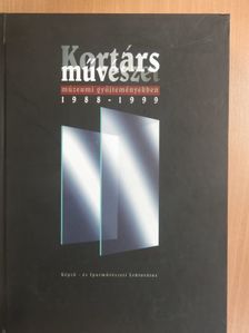 Bodonyi Emőke - Kortárs művészet múzeumi gyűjteményekben [antikvár]