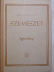Boros Béla - Szemészet [antikvár]