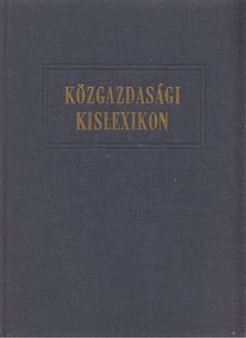 Kozlov, G. A., P. Pervusin - Közgazdasági kislexikon [antikvár]