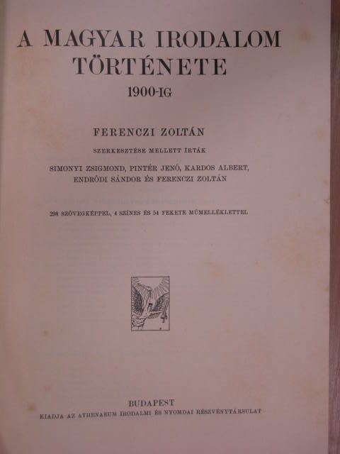 Endrődi Sándor - A magyar irodalom története 1900-ig [antikvár]
