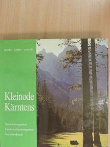 Hans Sampl - Kleinode Kärntens [antikvár]