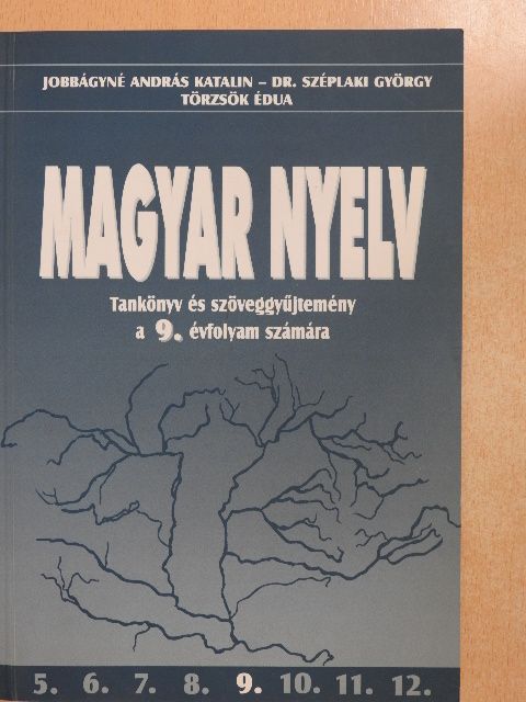 Dr. Széplaki György - Magyar nyelv 9. [antikvár]