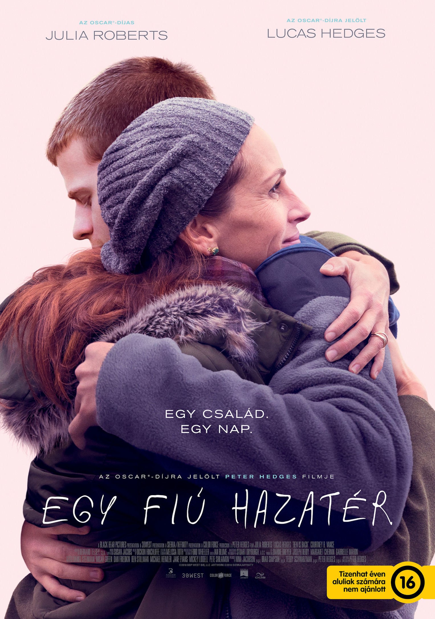 Peter Hedges - Egy fiú hazatér - DVD
