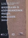 Dr. Gyulai László - Bevezetés a kis- és középvállalkozások pénzügyi modellezésébe [antikvár]