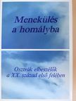Arthur Schnitzler - Menekülés a homályba [antikvár]