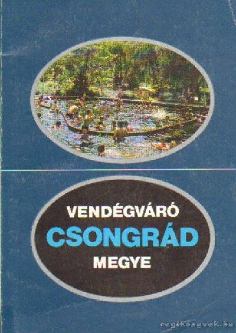 Pálfy Katalin - Vendégváró Csongrád megye [antikvár]