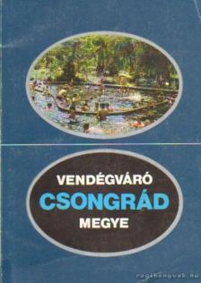Pálfy Katalin - Vendégváró Csongrád megye [antikvár]