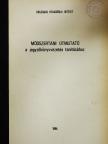 Freisinger Edéné - Módszertani útmutató a jegyzőkönyvvezetés tanításához [antikvár]