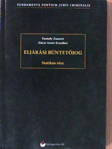 Fantoly Zsanett - Eljárási büntetőjog [antikvár]