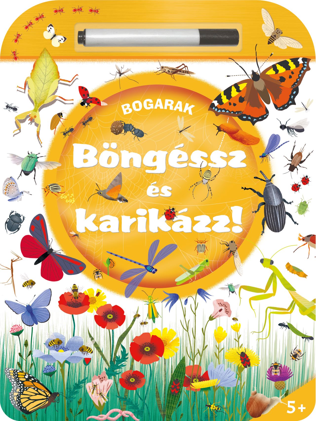 Böngéssz és karikázz! - Bogarak