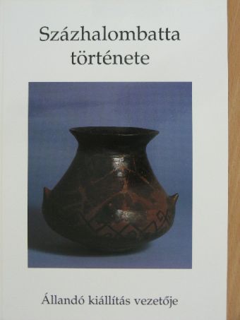 Holport Ágnes - Százhalombatta története [antikvár]