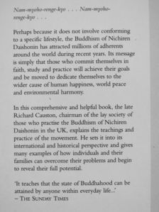 Richard Causton - The Buddha in Daily Life [antikvár]