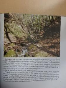 Morvay Zsuzsanna - Pomáz és a Deratáj [antikvár]