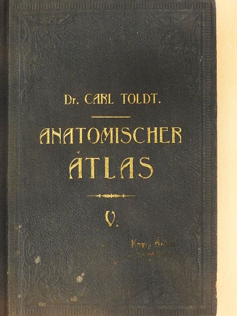 Dr. Carl Toldt - Anatomischer Atlas für studierende und Ärzte V. [antikvár]