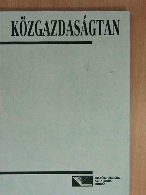 Bernáth Miklós - Közgazdaságtan [antikvár]
