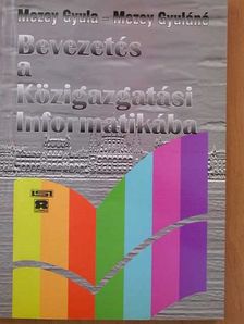 Mezey Gyula - Bevezetés a Közigazgatási Informatikába [antikvár]