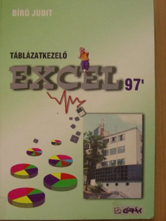 Bíró Judit - Táblázatkezelő [antikvár]