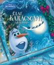 .- - DISNEY - JÉGVARÁZS - OLAF KARÁCSONYI KALANDJA