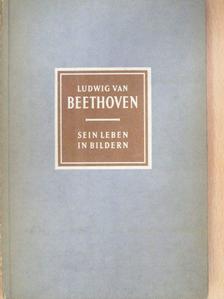 Richard Petzoldt - Ludwig van Beethoven (1770-1827) Sein Leben in Bildern [antikvár]