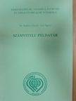 Dr. Báthori Zsuzsa - Számviteli példatár [antikvár]