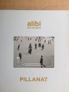 Alexander Brody - Alibi hat hónapra 17. [antikvár]