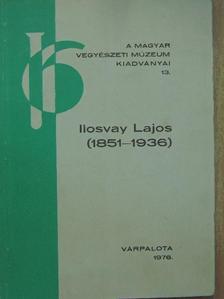 Szőkefalvi-Nagy Zoltán - Ilosvay Lajos [antikvár]