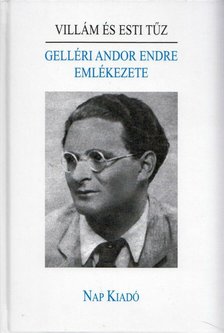 Füzi László - Villám és esti tűz - Gelléri Andor Endre emlékezete [antikvár]