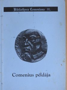 Dr. Benő Kálmán - Comenius példája [antikvár]