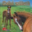 Ellingsen, Elin Meldahl - Csikó születik [antikvár]