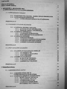 Dr. Kahulits László - Bevezetés a közgazdaságtanba I. [antikvár]