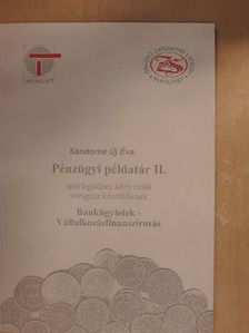 Sándorné Új Éva - Pénzügyi példatár II. [antikvár]