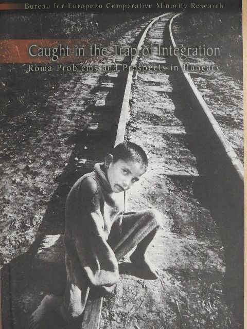 Erika Törzsök - Caught in the Trap of Integration [antikvár]