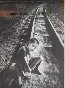 Erika Törzsök - Caught in the Trap of Integration [antikvár]