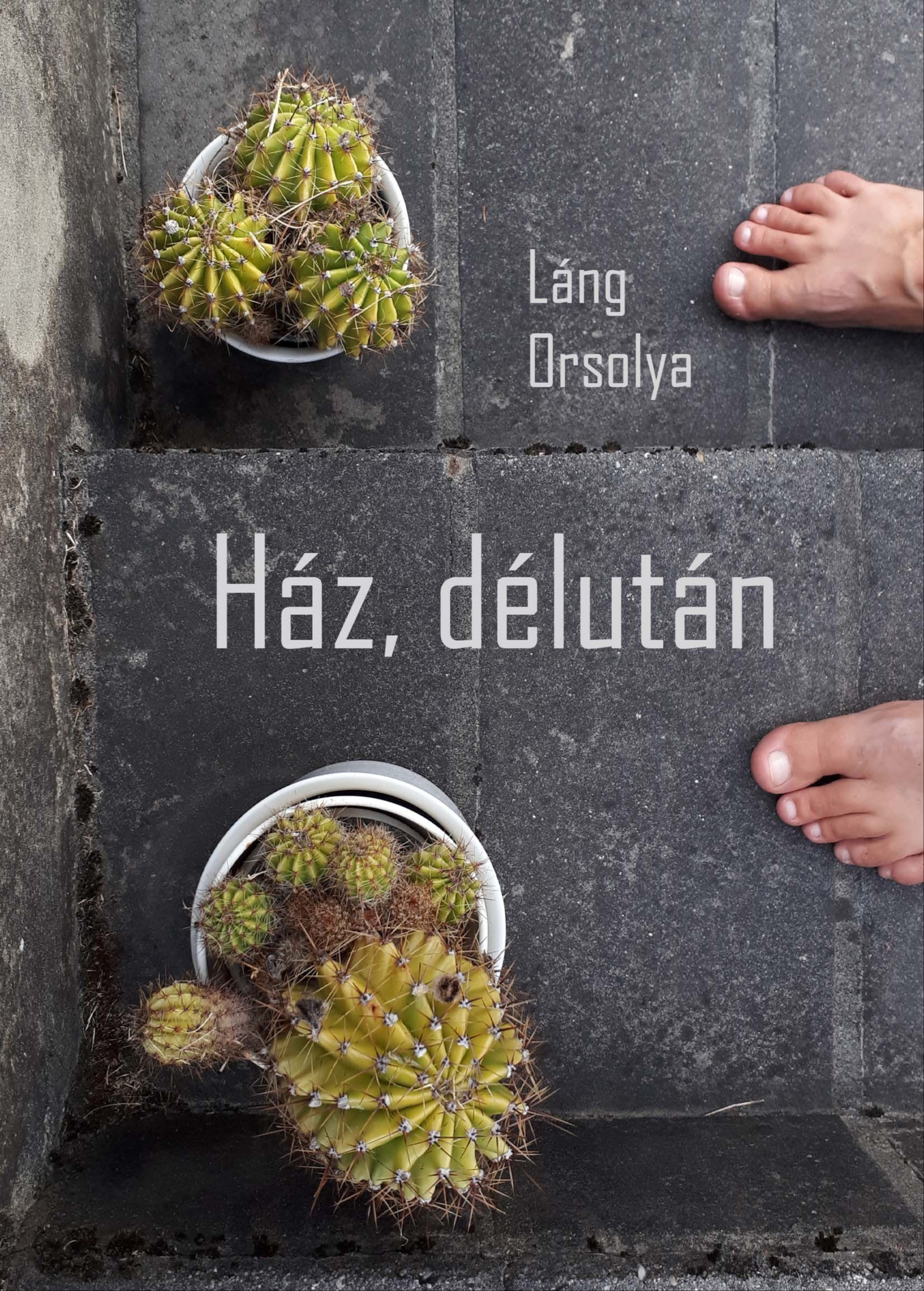 Láng Orsolya - Ház, délután [eKönyv: epub, mobi]