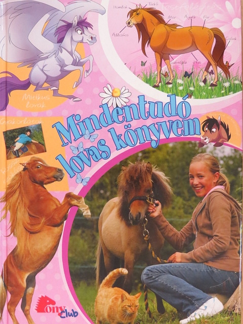 Annika Johnsson - Mindentudó lovas könyvem [antikvár]