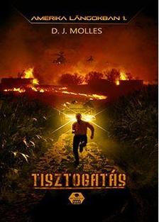 D. J. Molles - Amerika lángokban 1 - Tisztogatás