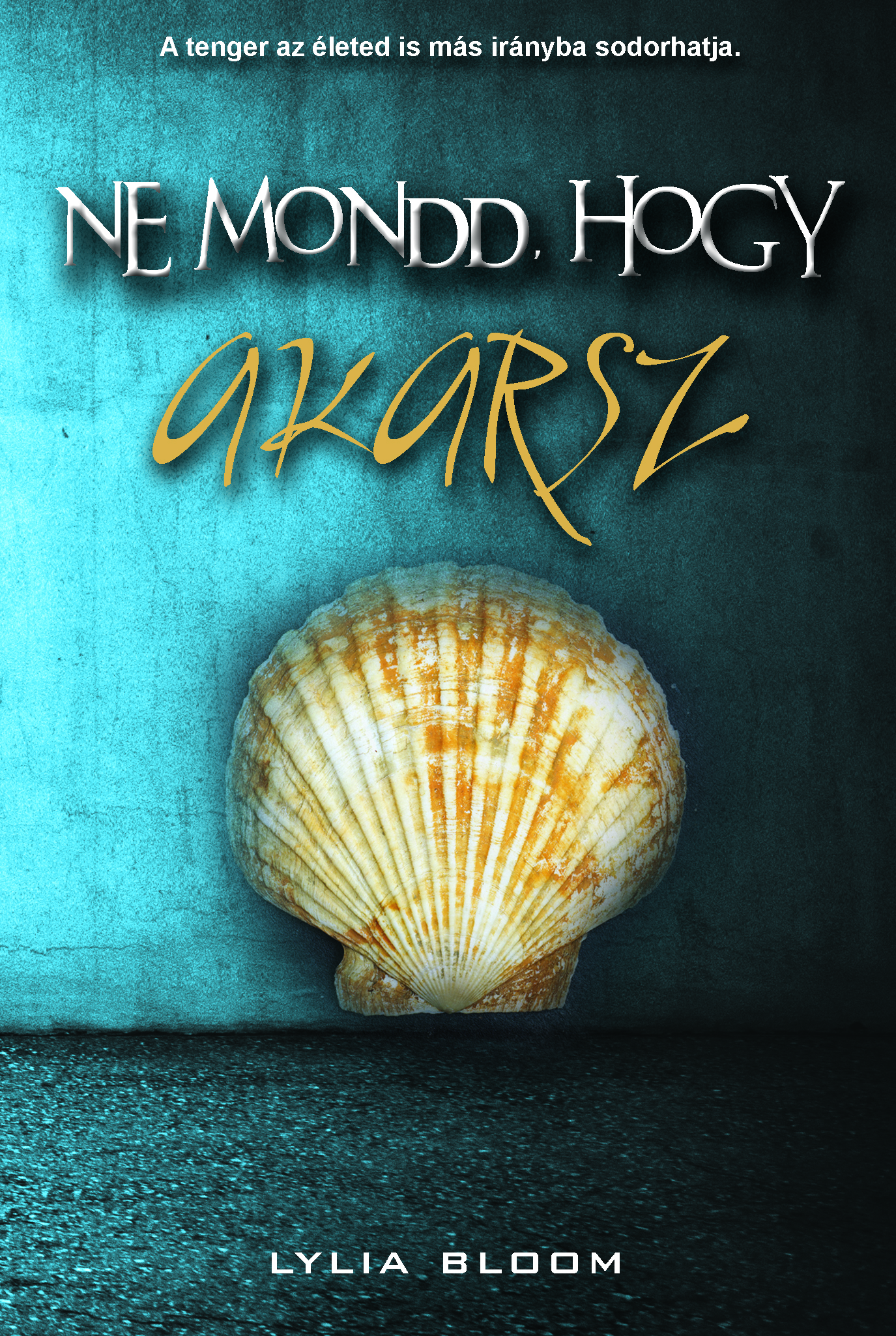 Lylia Bloom - Ne mondd, hogy akarsz [eKönyv: epub, mobi]