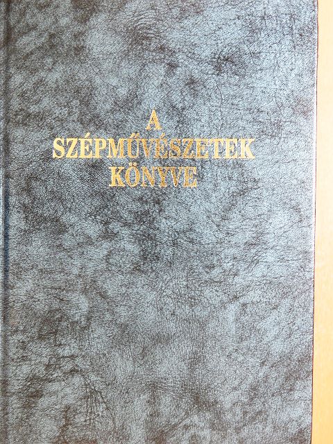 Bárányné Oberschall Magda - A szépművészetek könyve [antikvár]