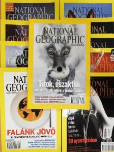 National Geographic Magyarország 2014. (nem teljes évfolyam) [antikvár]
