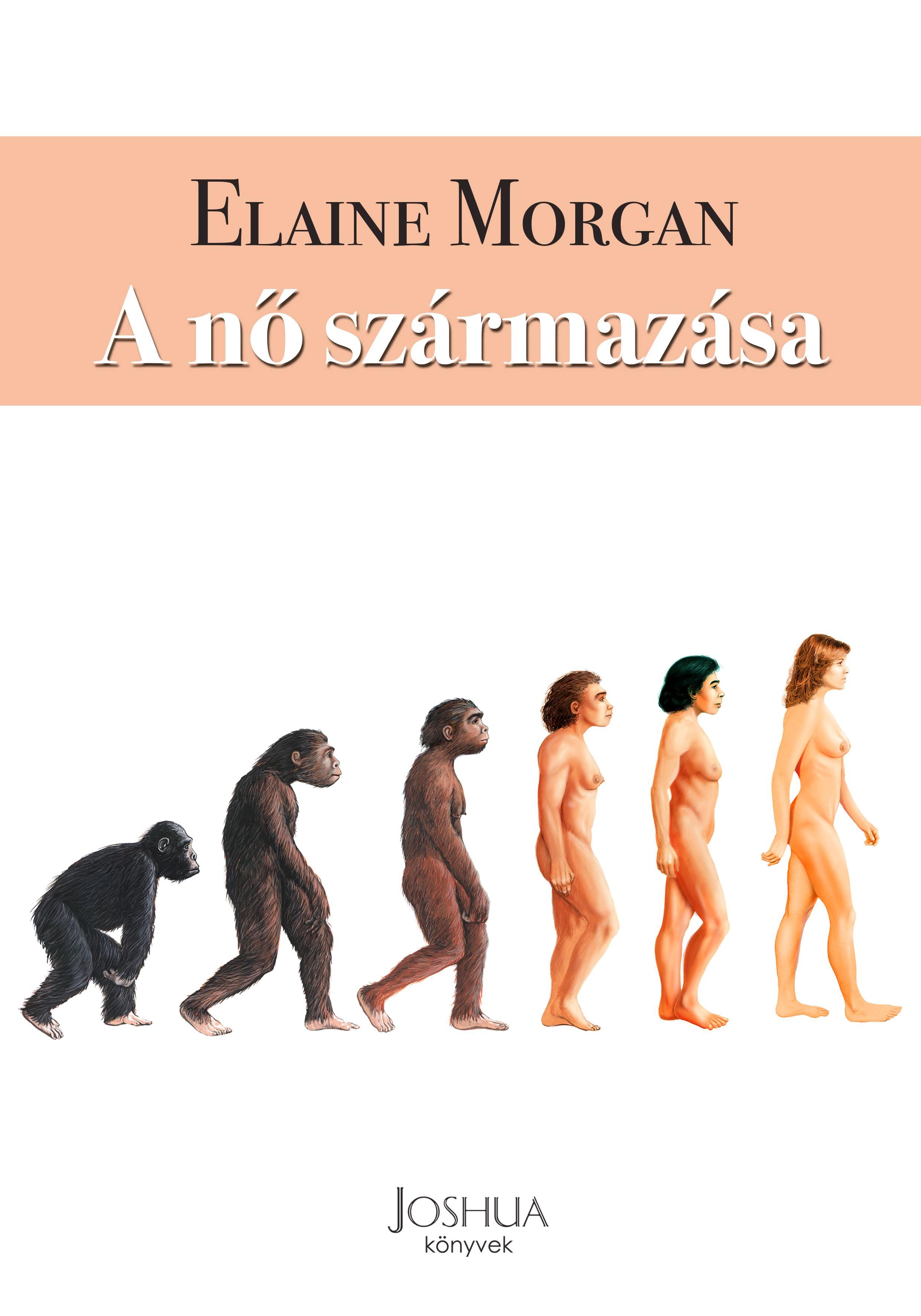 Elaine Morgan - A nő származása