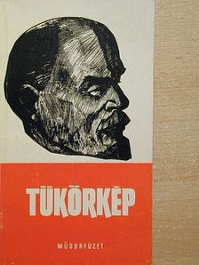 Tükörkép [antikvár]