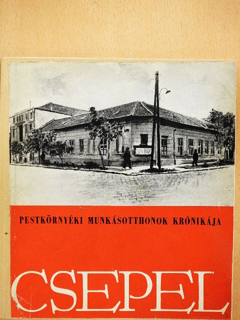 Drucker Tibor - A Csepeli Munkásotthon története [antikvár]