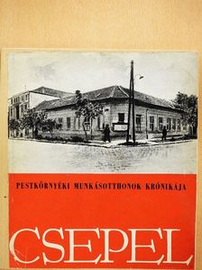 Drucker Tibor - A Csepeli Munkásotthon története [antikvár]