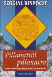 Szögjal Rinpocse - Pillanatról pillanatra [antikvár]