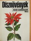 Dr. Debreczy Zsolt - Dísznövények [antikvár]