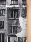 Ivan Klíma - A Summer Affair [antikvár]